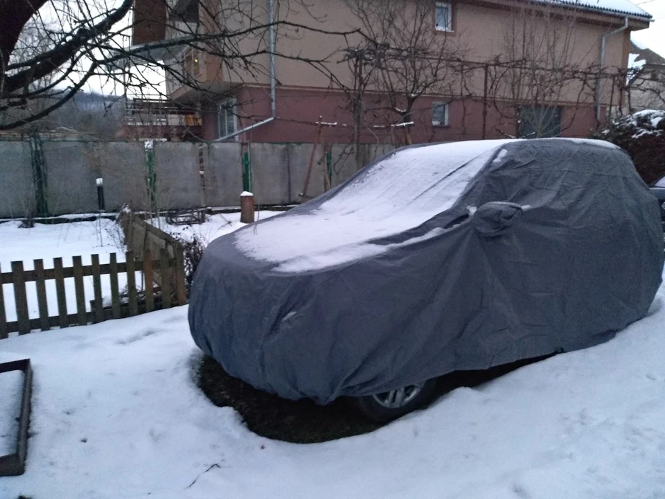 Тигреня на вулиці в чохлі.