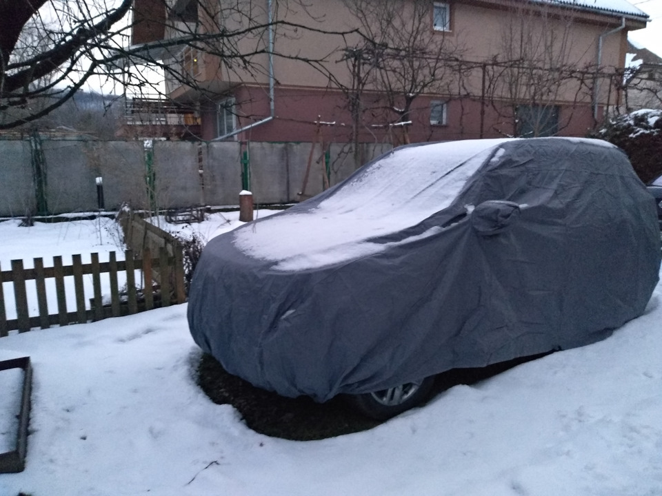 Тигреня на вулиці в чохлі. 1