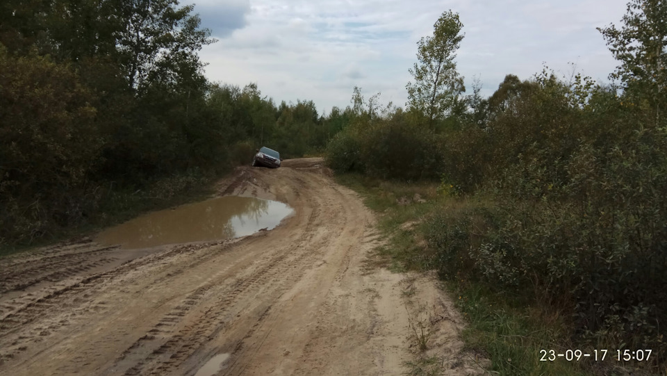 Поїздка за ГРИБАМИ =) 3