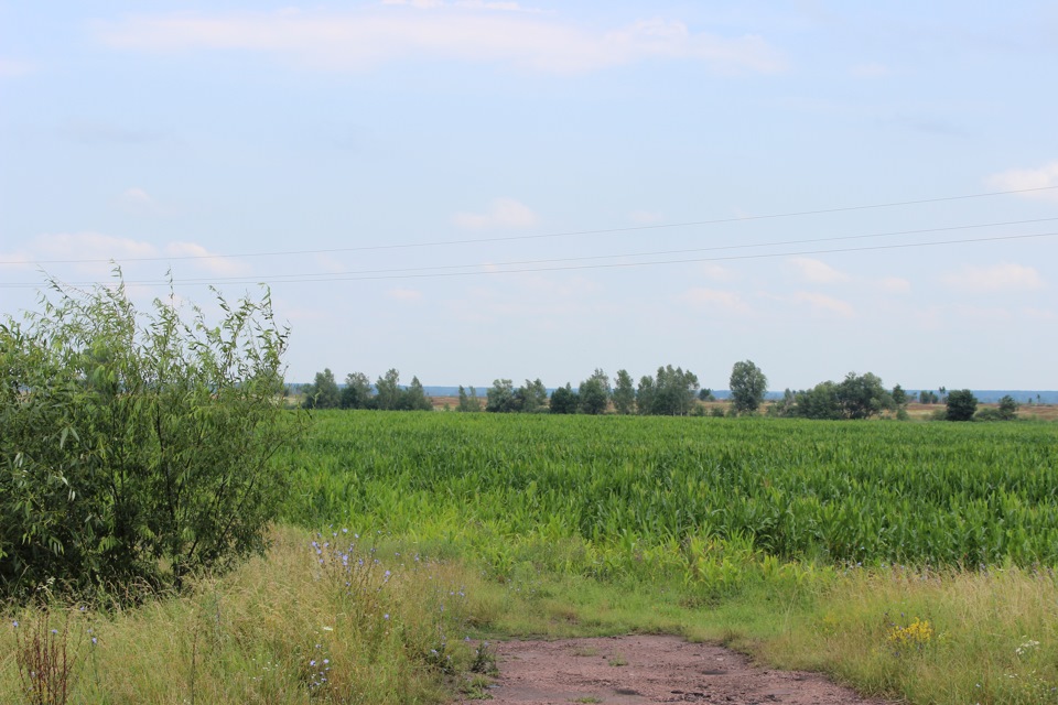 Київ-Брест 1