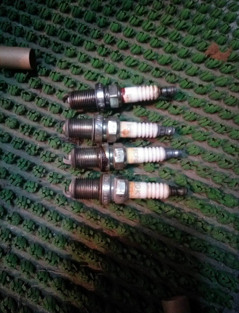 Поява бавовни на газі 1
