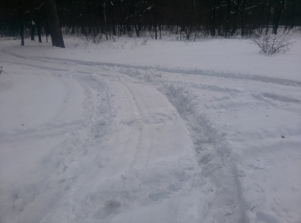 Виїзд на природу ... (таки може)! 1