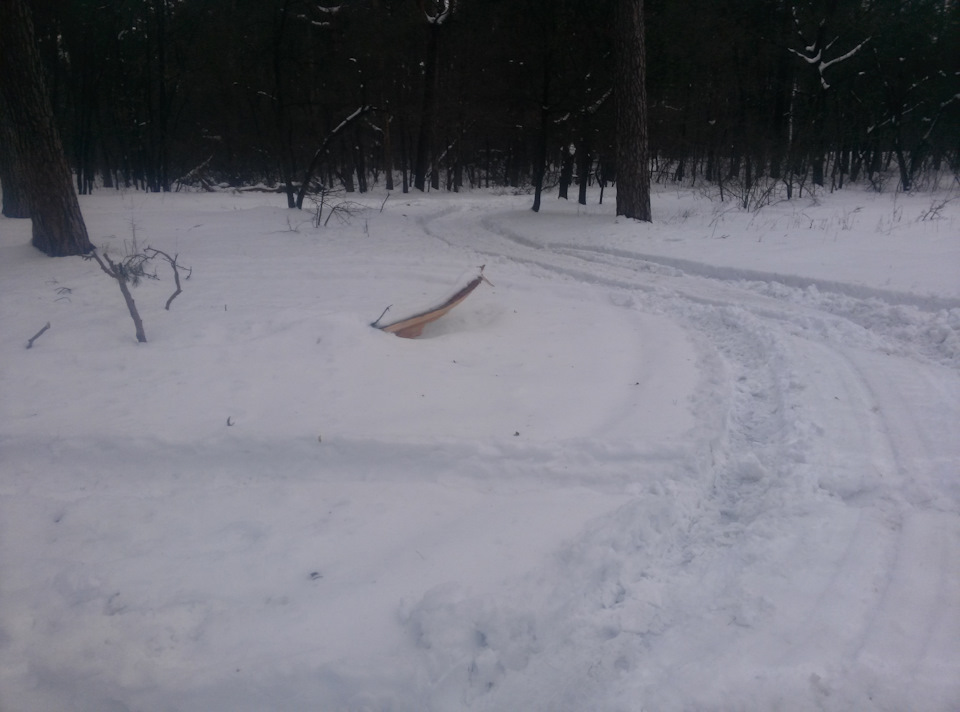 Виїзд на природу ... (таки може)! 2
