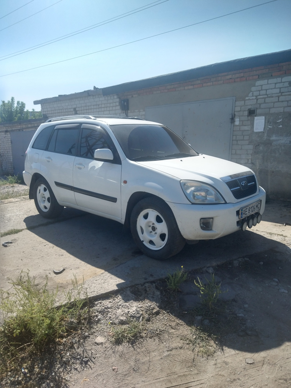 Нові тапочки на тигра r17 2