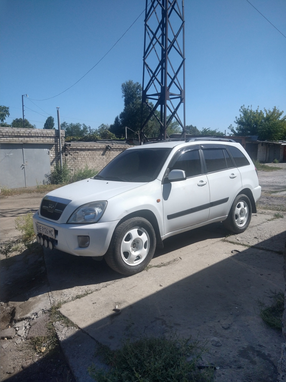 Нові тапочки на тигра r17 1