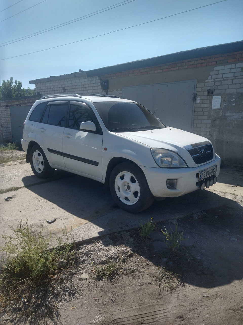 Нові тапочки на тигра r17 3