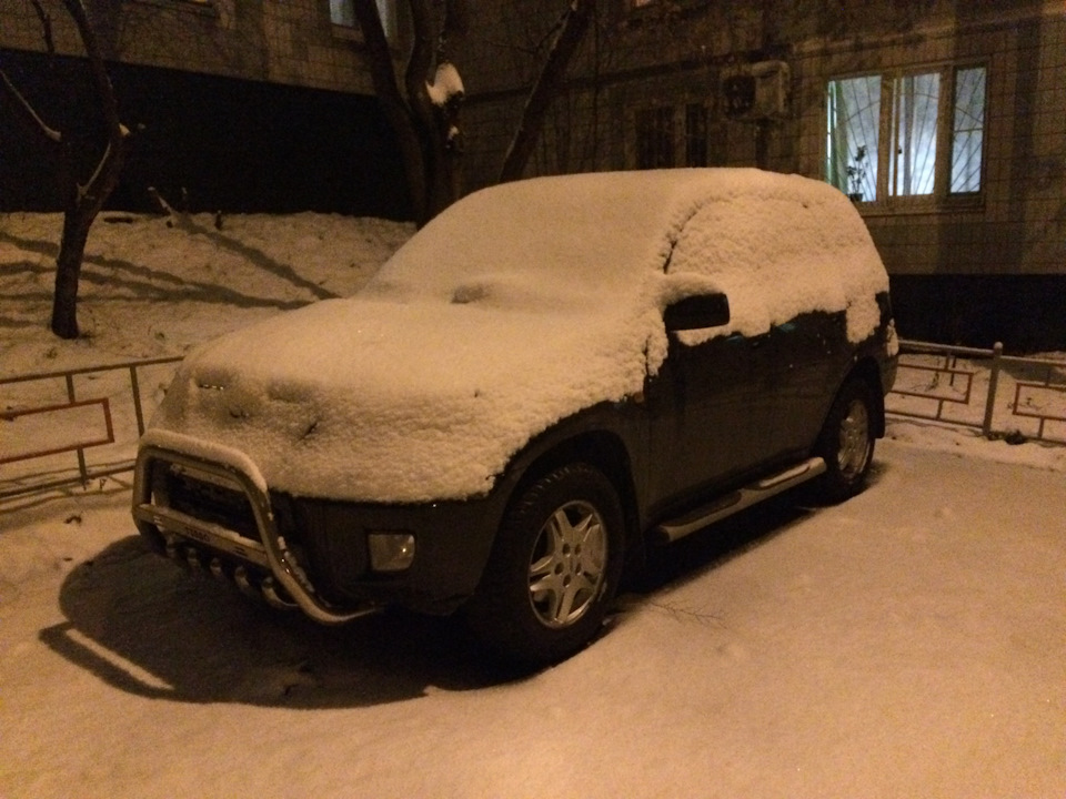 Тигр go to Moskow city 5
