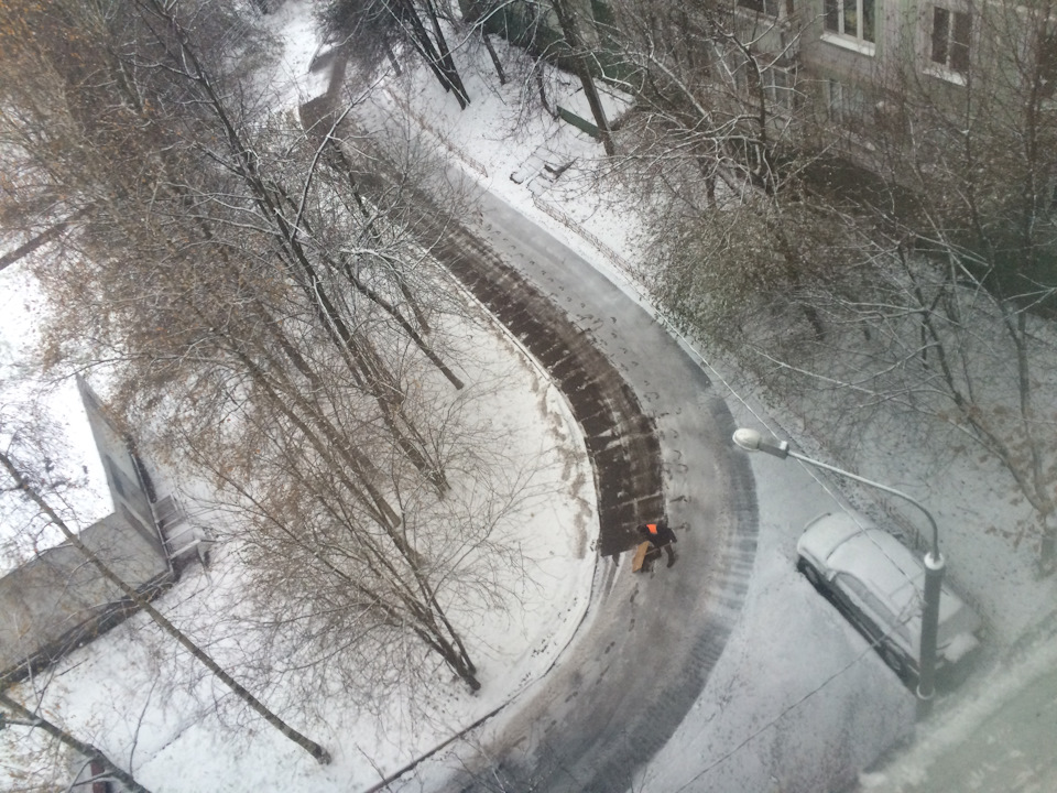 Тигр go to Moskow city 3