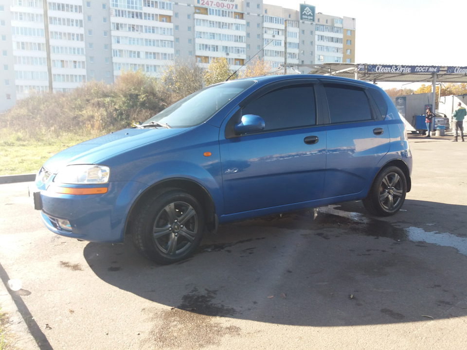 Овешка в лабутенах 1