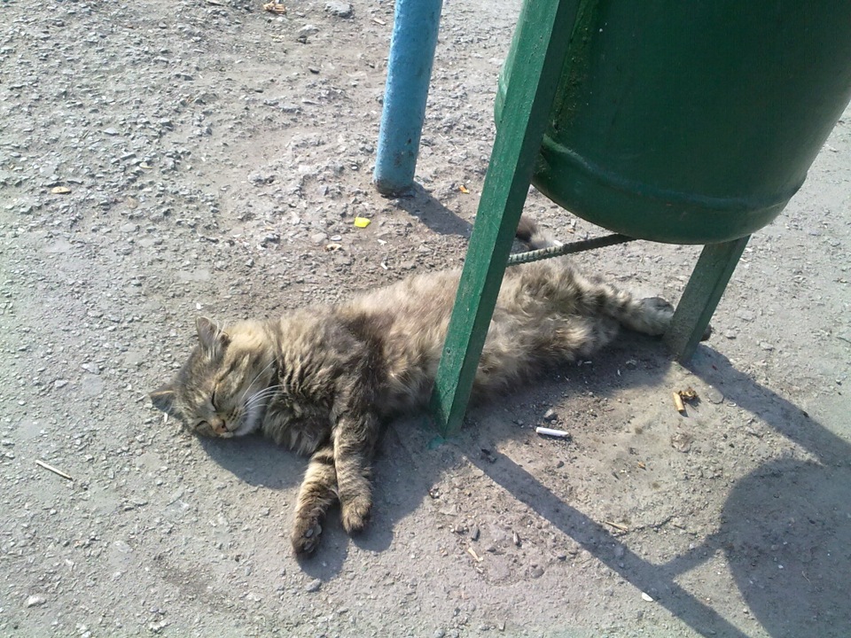 Ось так от з'їздив на дачу ... 4