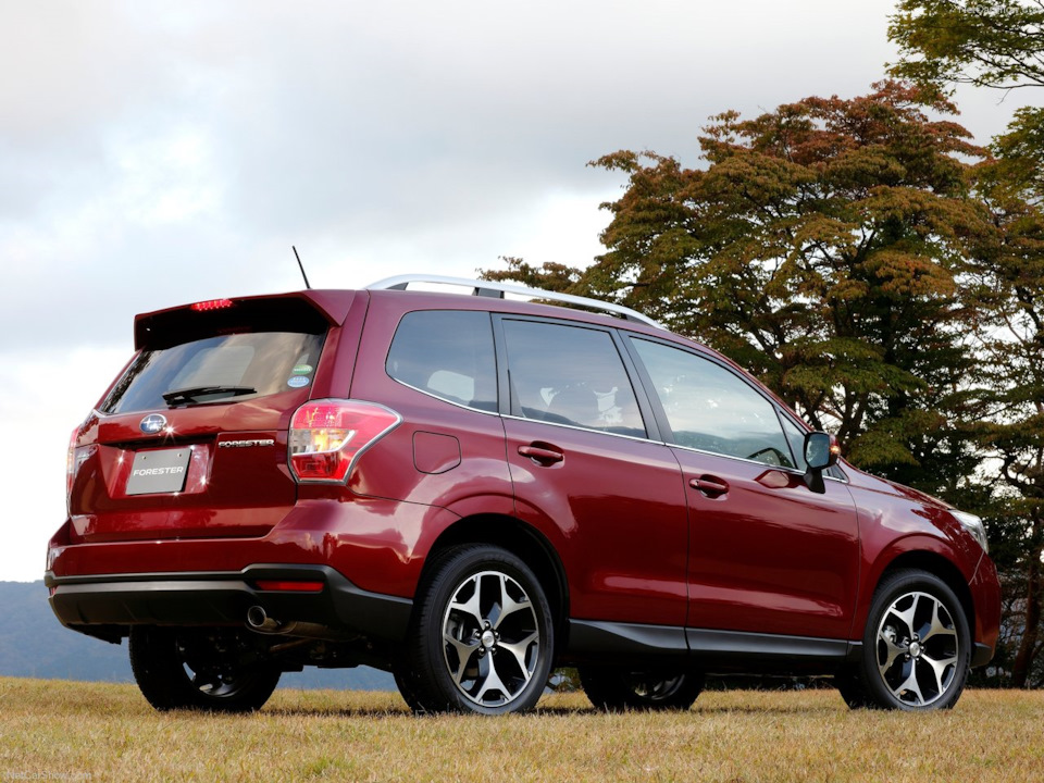 люк для Subaru Forester 1