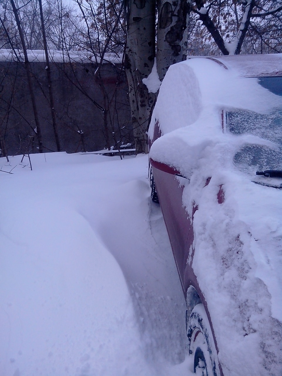 II Хвиля снігової зими+100 до Новорічного настрою) 1