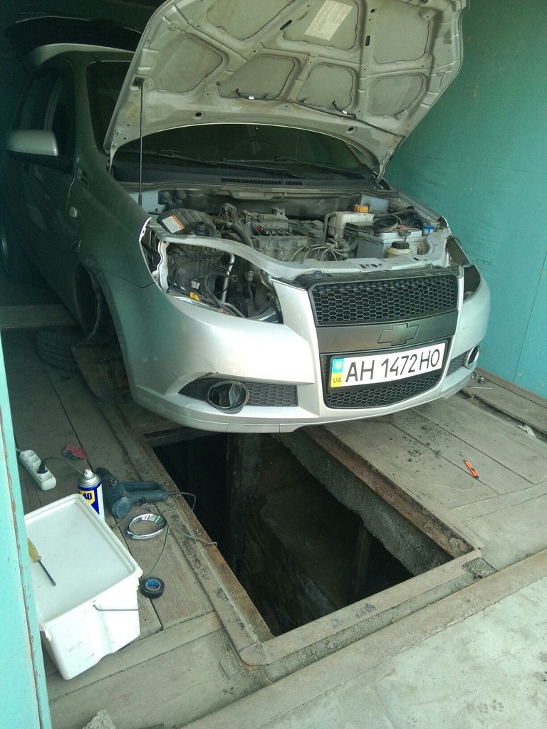 Морда день 2! 1