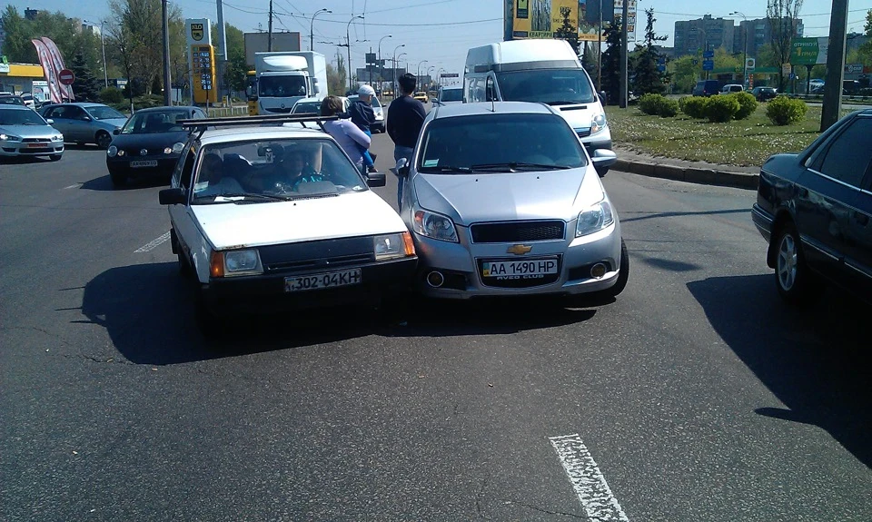 Як потрапити у ДТП чи Обережно! Олені на дорогах