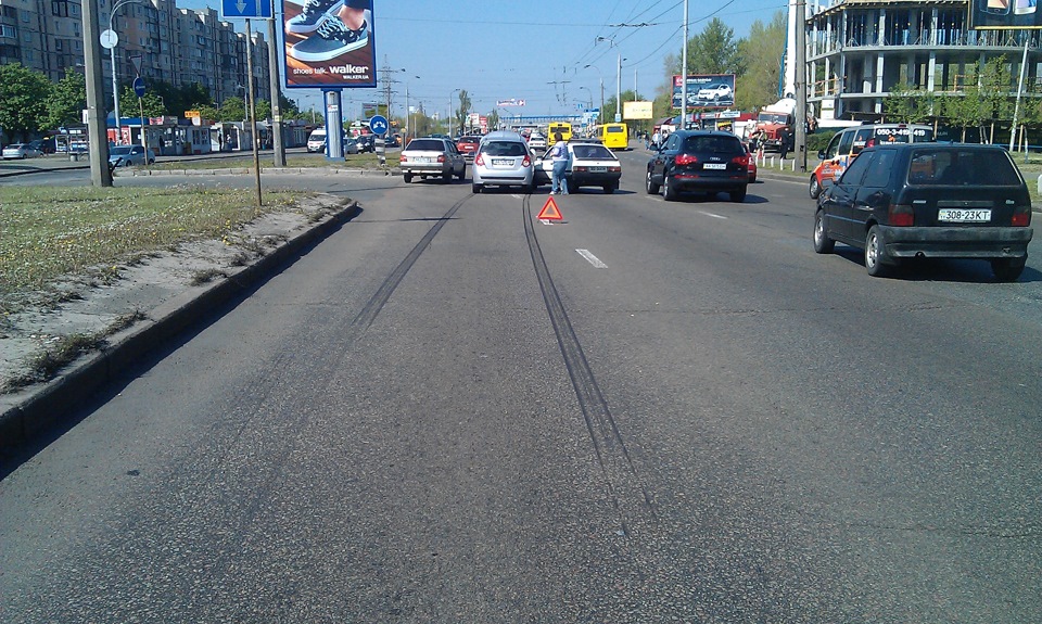 Як потрапити у ДТП чи Обережно! Олені на дорогах 2