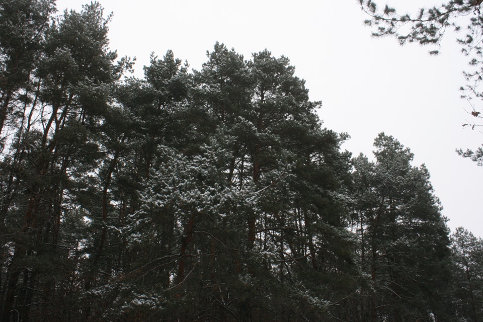 43. Зимовий Фотосет 3