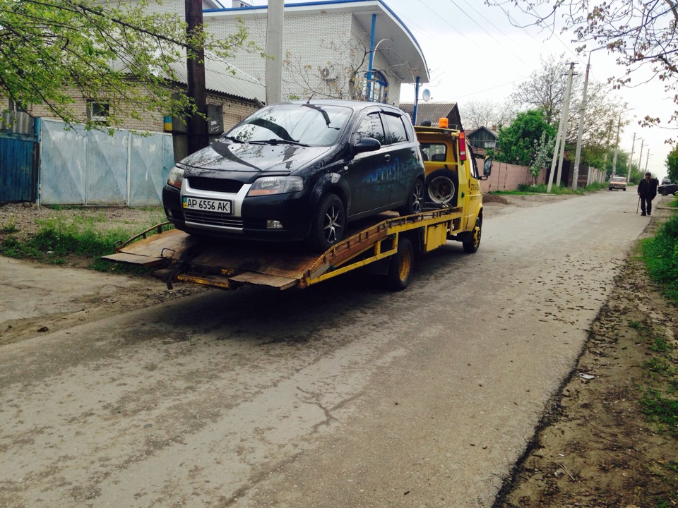 Коробка з лапи відірвалася 1