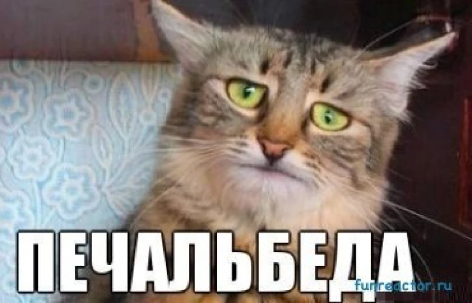 стільки всього нового)))