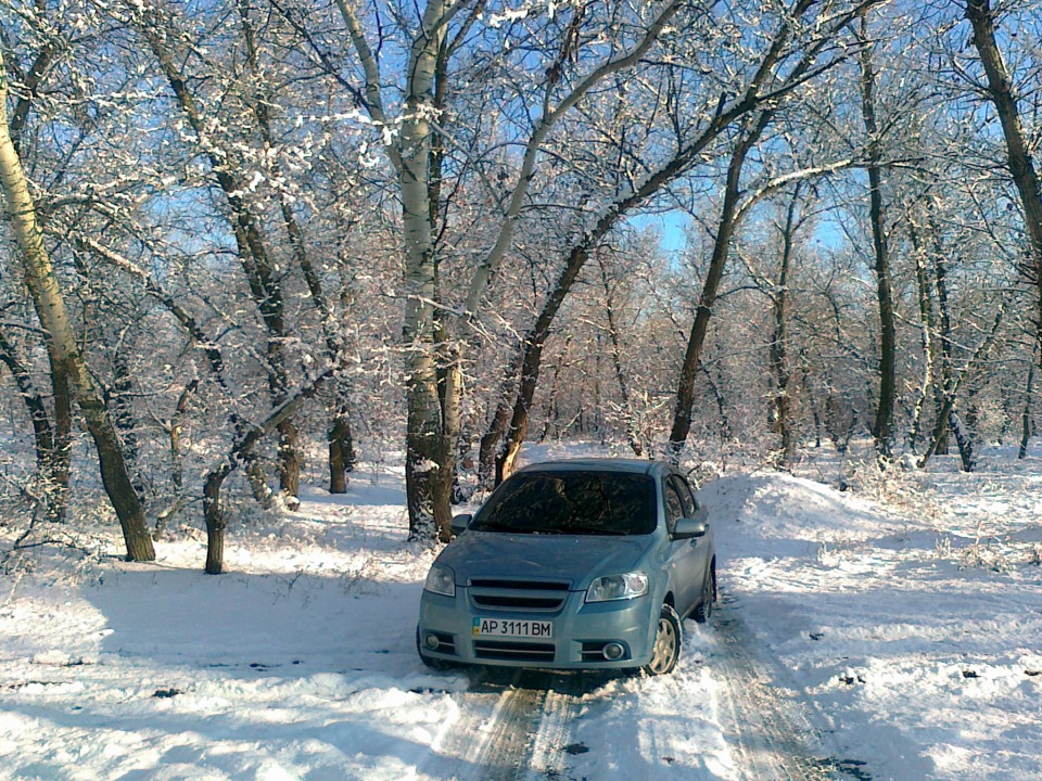 Перший сніг у 2012) 4