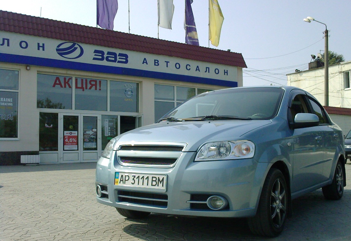 Сітка в бампер 1
