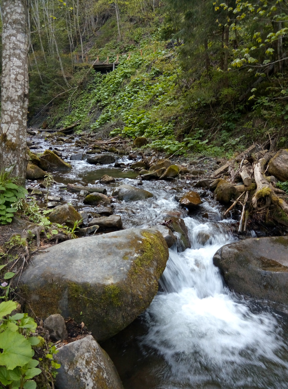 Травневі - Карпати - Яремче - Частина 4. День перший-Водоспад ГУК 5