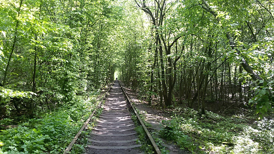 Травневі - Карпати - Яремче - Частина 8 - Заключна. Дорога додому 4