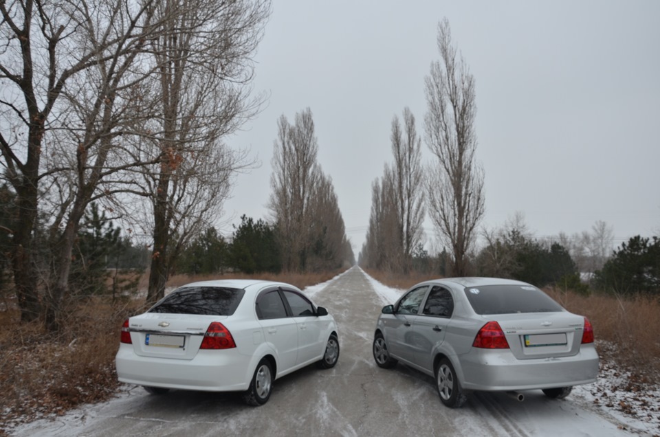 Різдвяний Сіро-Білий фотосет =) 5