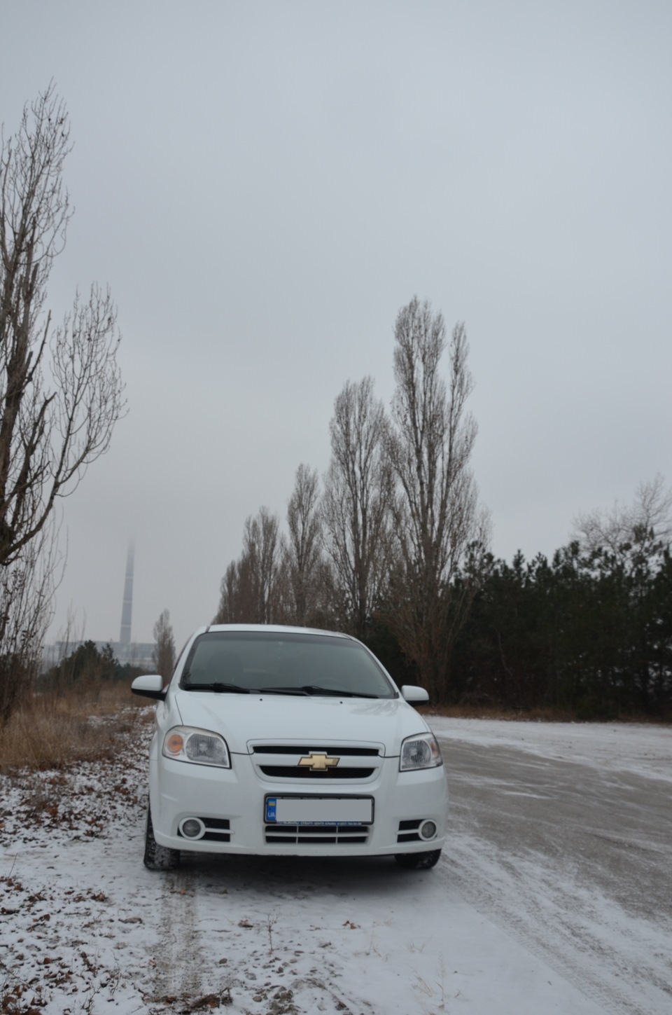 Різдвяний Сіро-Білий фотосет =) 4