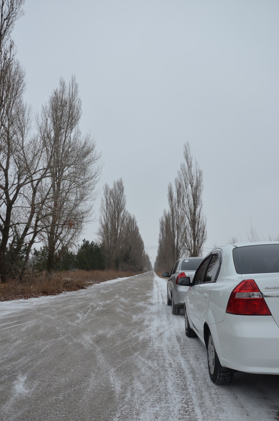 Різдвяний Сіро-Білий фотосет =) 2