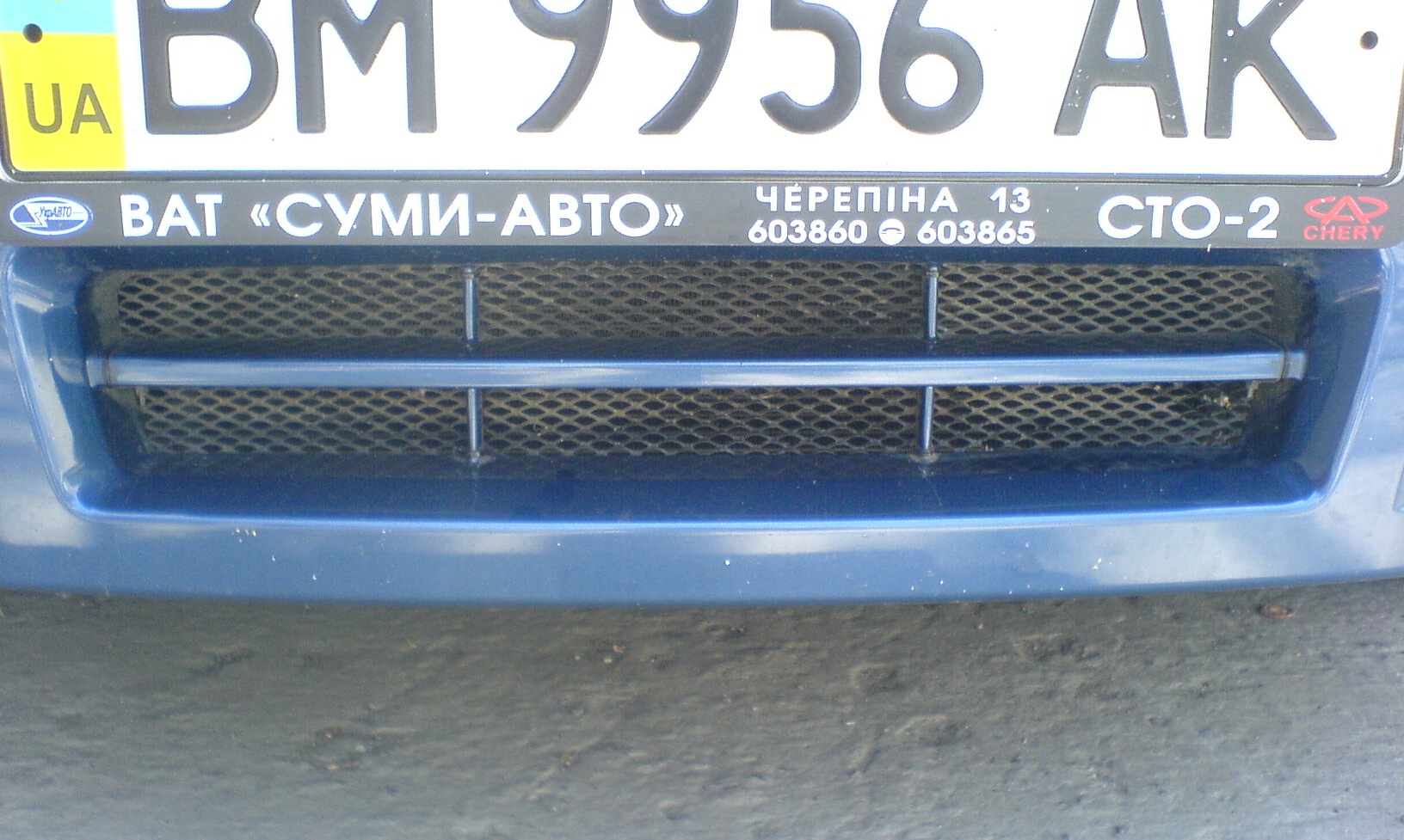 Сіточка для мушечок і пташенят :) 3