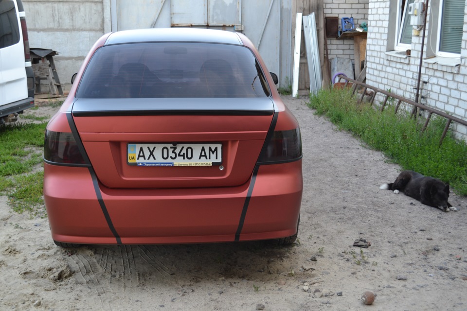 Мій Шевик)) 1