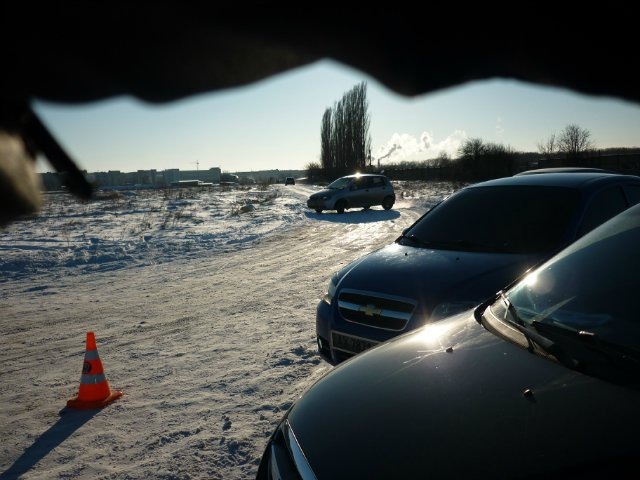 Справа була на жуках ... 1