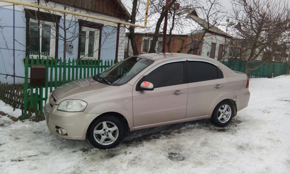Покотушки 4