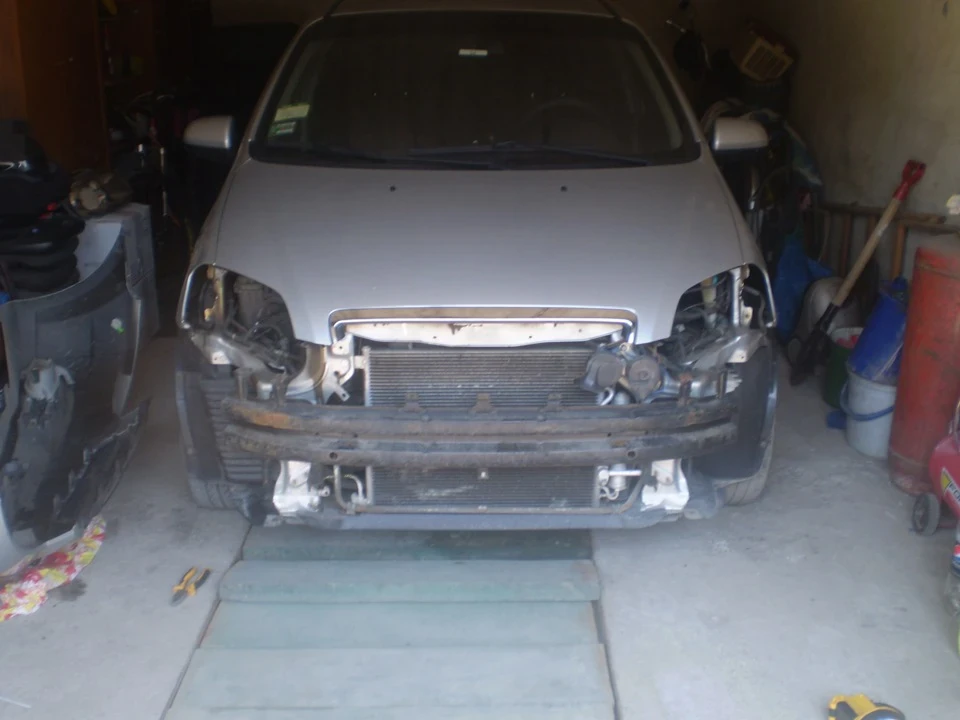 Зустріч із собакою 2011 рік
