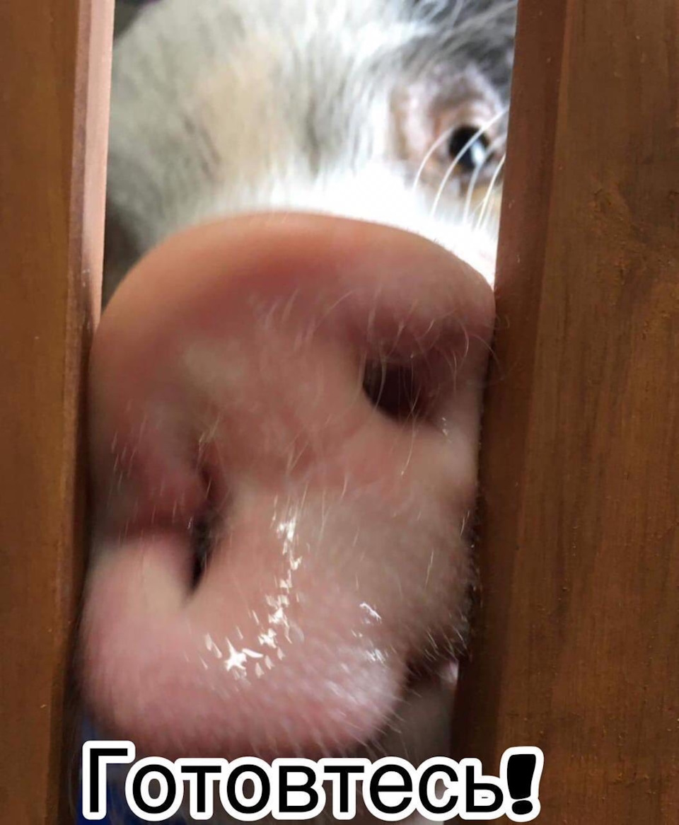 З наступаючим! 1
