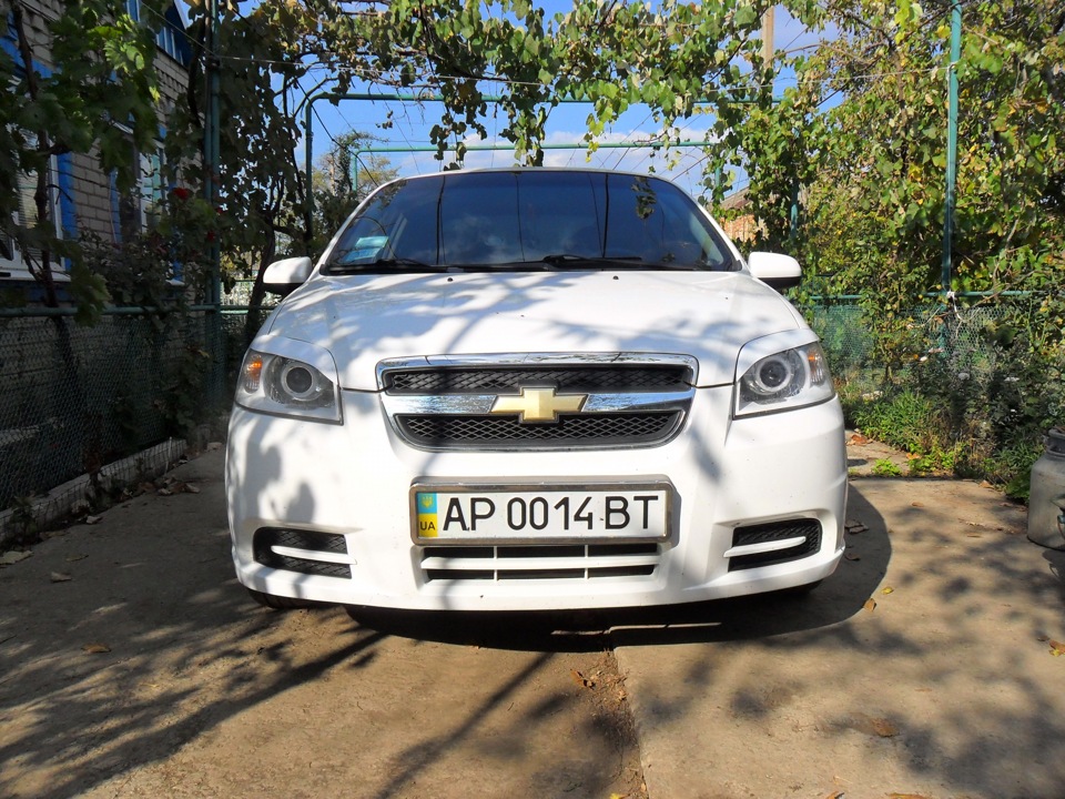 Лінзівка ​​своєї ластівки 1