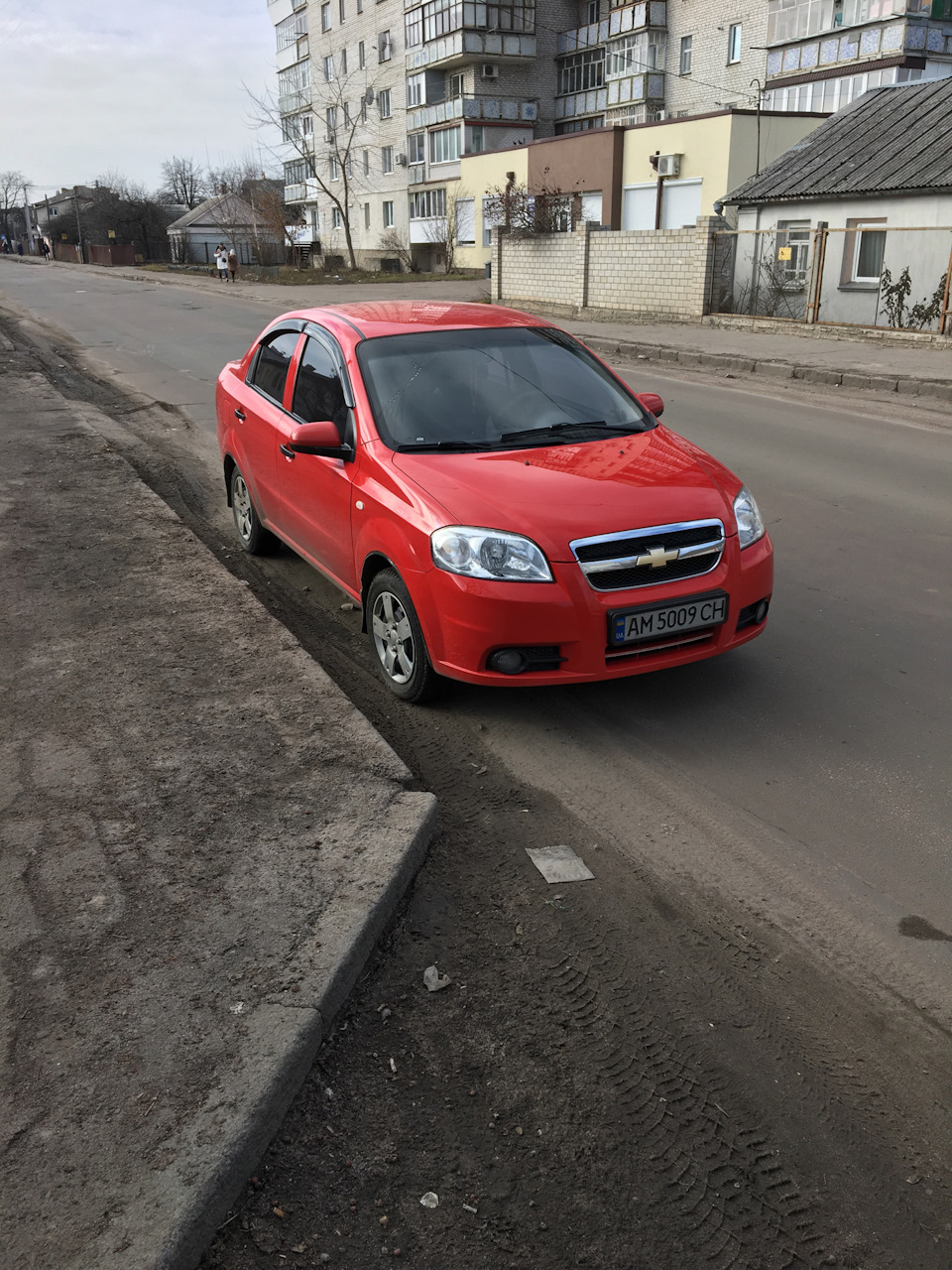 Не ставте мухобійки 3