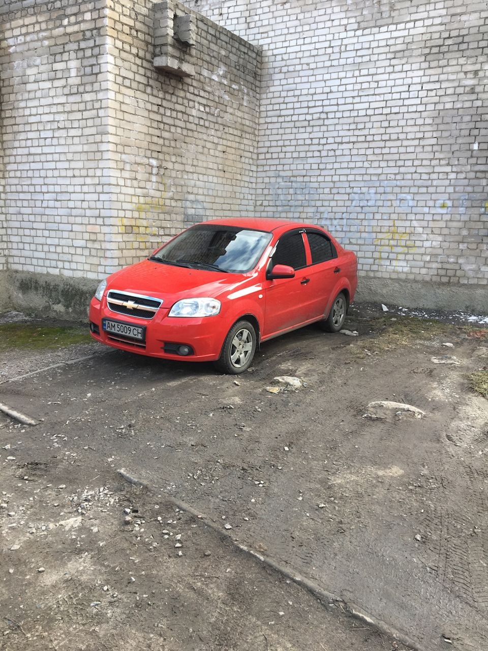 Не ставте мухобійки 2
