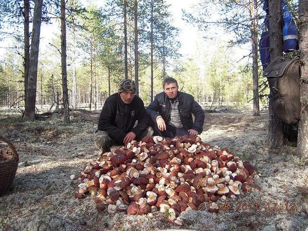 Для любителів грибів))) 2