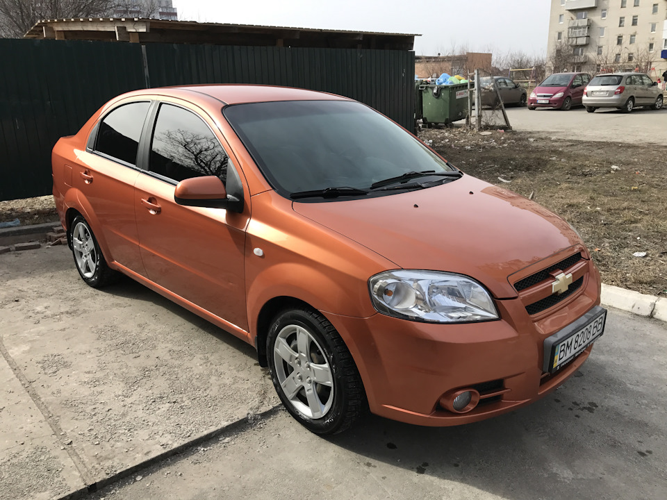 Оксамитки (зовнішні ущільнювачі вікон) авео Т250 1
