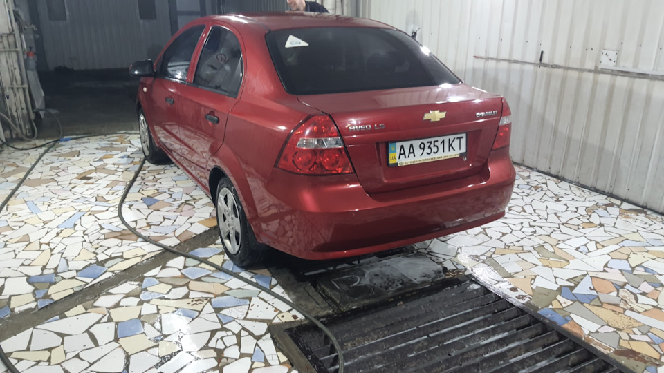 Пару фоток з життя Авечки 3