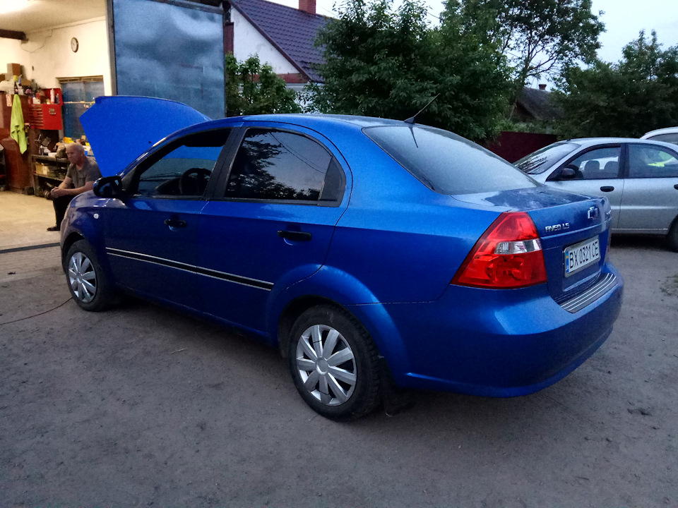 Авеоводам на замітку! Оживили мерця і овечка знову в строю 1