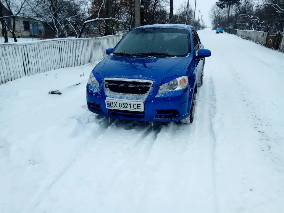 Невдалий день чи боротьба овці з собакою (є втрати)