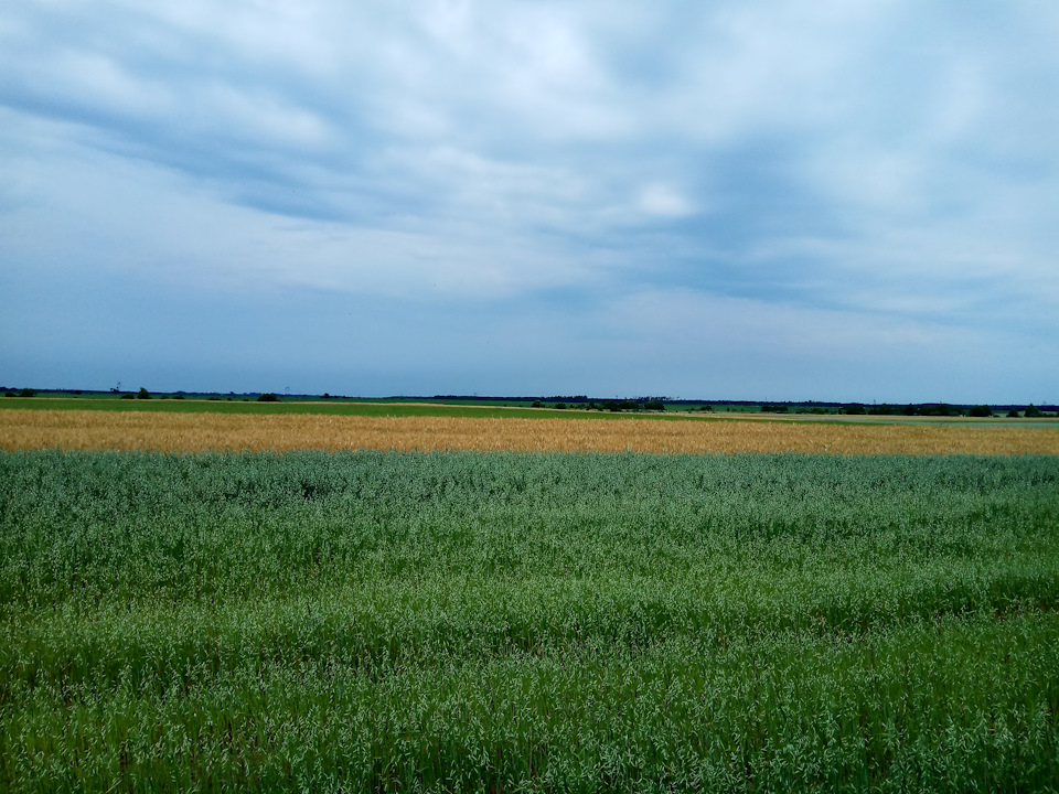 Відпочинок від міської суєти⛅👍 2