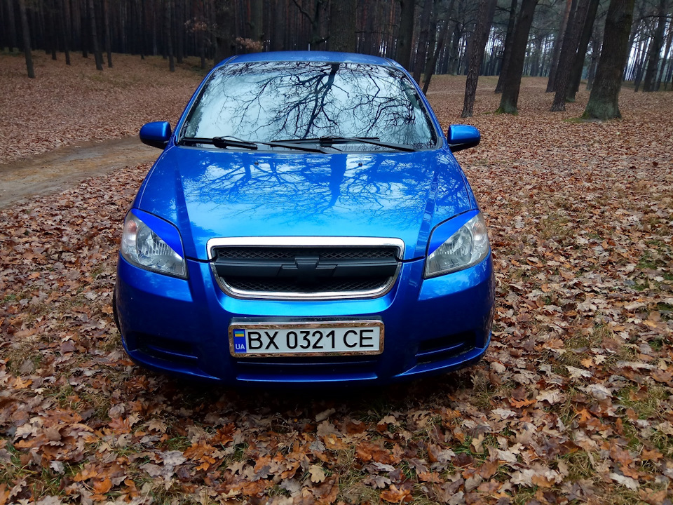 Продав свою Авішку 1
