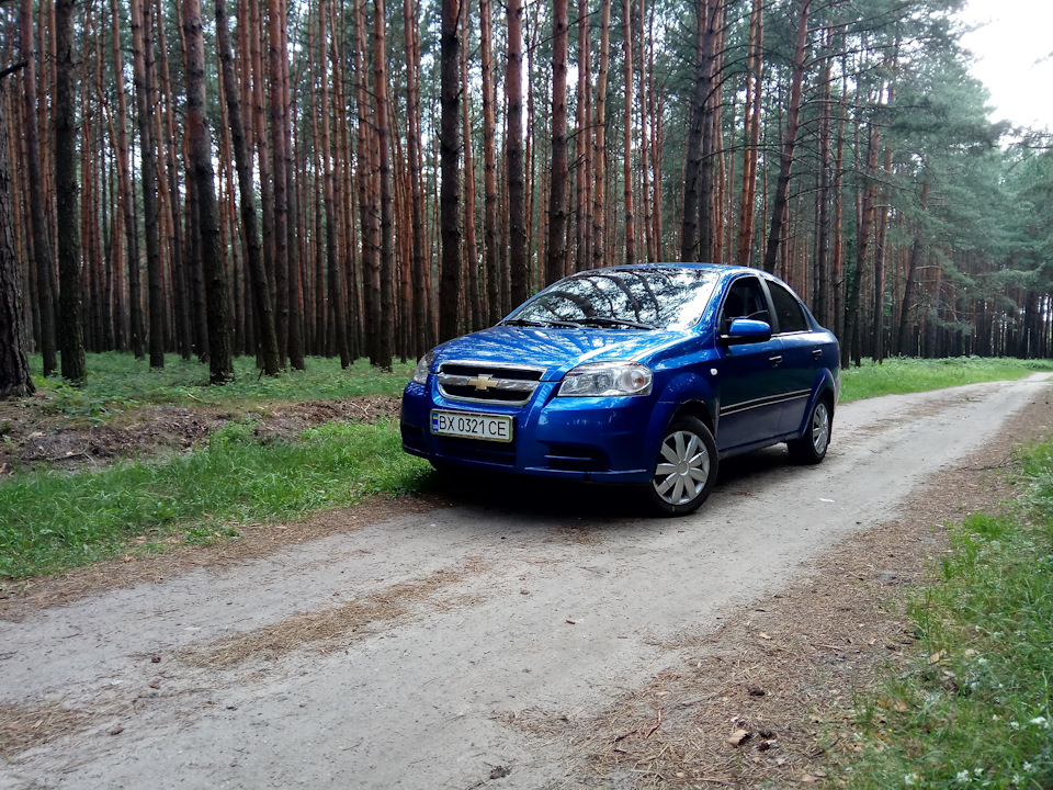 Вії в колір 2