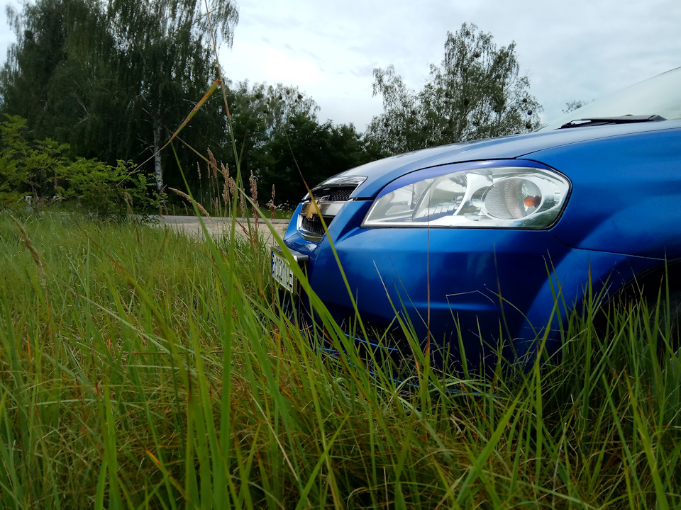 Вії в колір 1