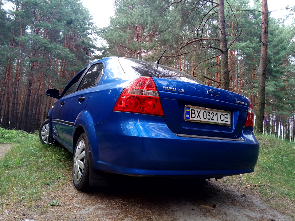 Вії в колір 4
