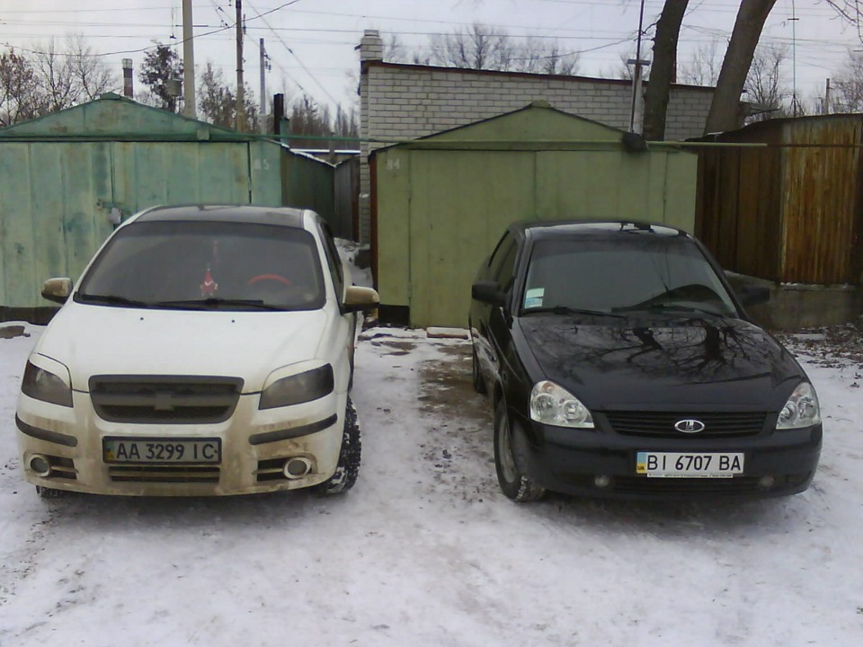 Зустріч моїх красунь... 2