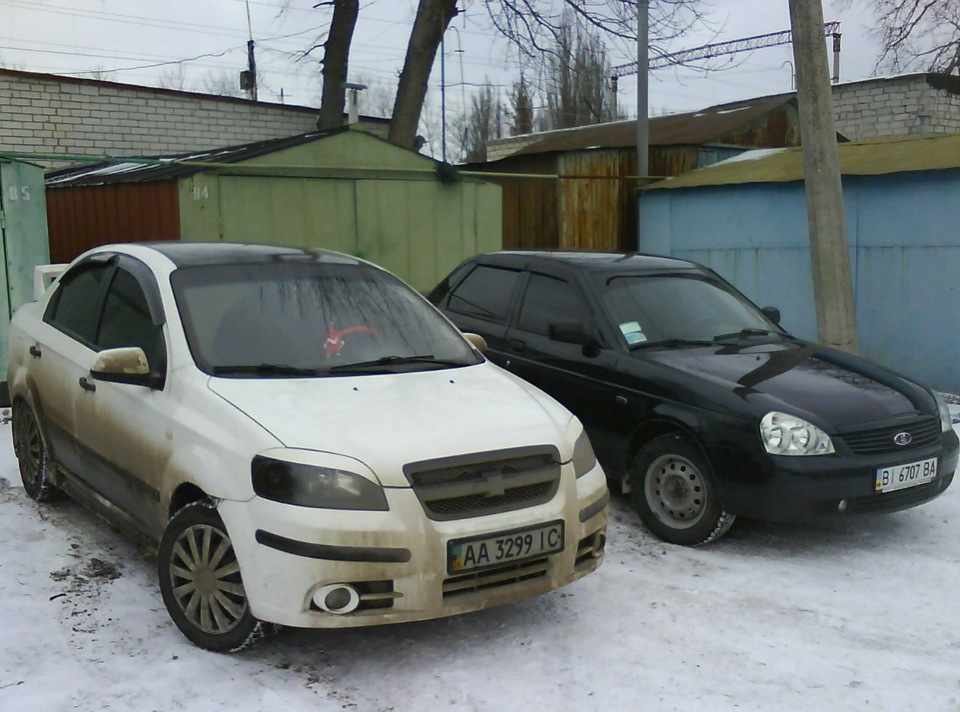 Зустріч моїх красунь... 4